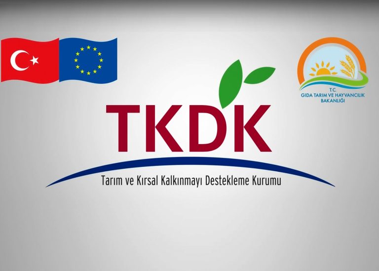 TKDK